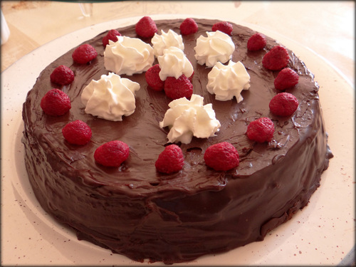 Gâteau au chocolat et aux framboises