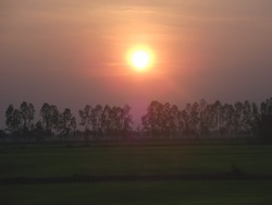 Un coucher de soleil sur la rizière...