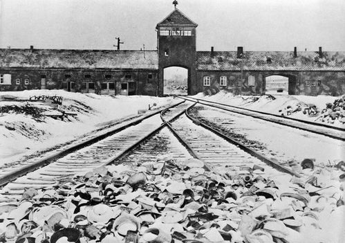 27 janvier 1945 : La Libération du camp d&#39;Auschwitz-Birkenau - Arnaud  Clément - Le Blog