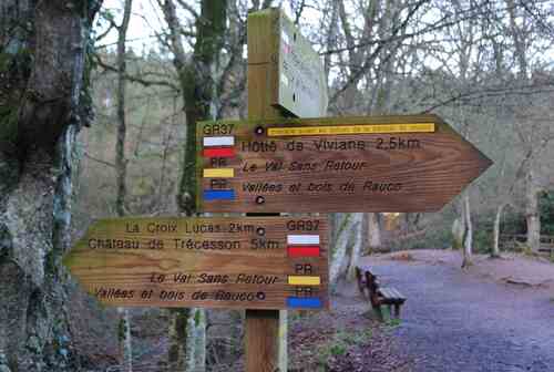 La forêt de Brocéliande ( Ile et Vilaine )