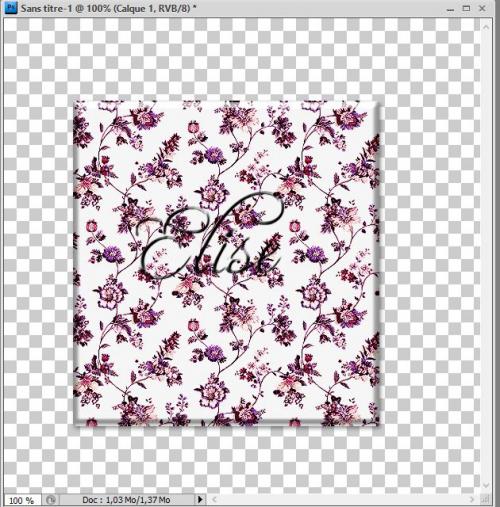 La fenêtre " couleur" 4