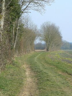 Le circuit du Mont-Rose (modifié)