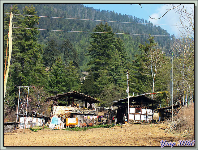 Blog de images-du-pays-des-ours : Images du Pays des Ours (et d'ailleurs ...), Entre Thimphu et Dochula Pass: des vieilles maisons à la vendeuse de fromages de naks - Bhoutan