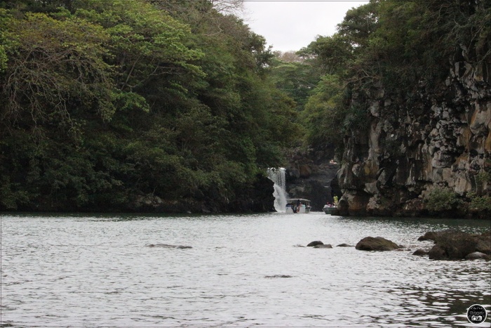 Cascade de Grande Rivière, Île Maurice