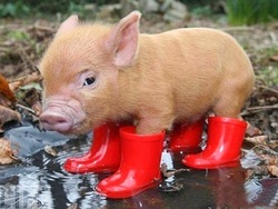 Pluie : chic et stylée même par mauvais temps !