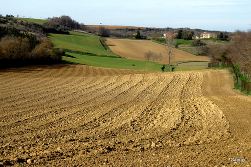 Le Lauragais : paysages en février  