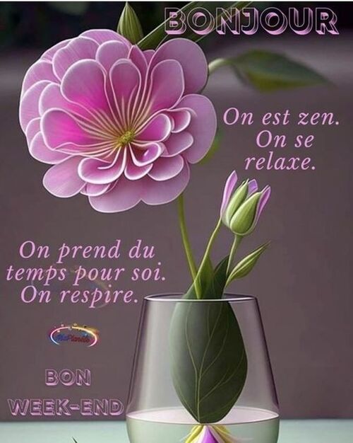 bonne fin de semaine mes amies et amis 