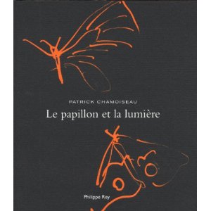 Le papillon et la lumière