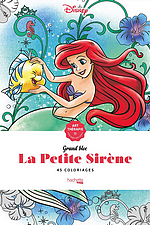 4. Collection Hachette-Heroes Disney 