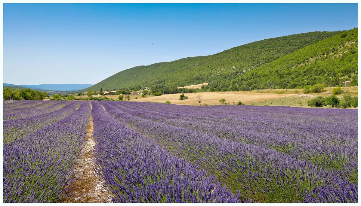 Objectif Provence (part 3) 