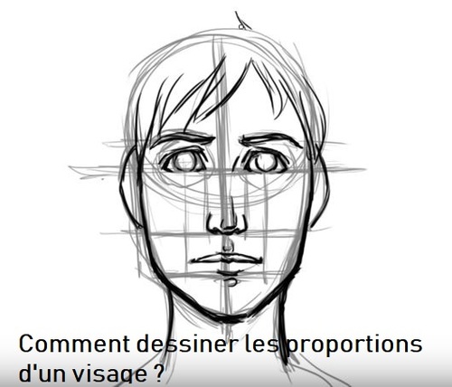 Dessin et peinture - vidéo 2894 : Quelles sont les proportions d'une tête et d'une face d'adulte 2/3 ? - le canon idéal en dessin .
