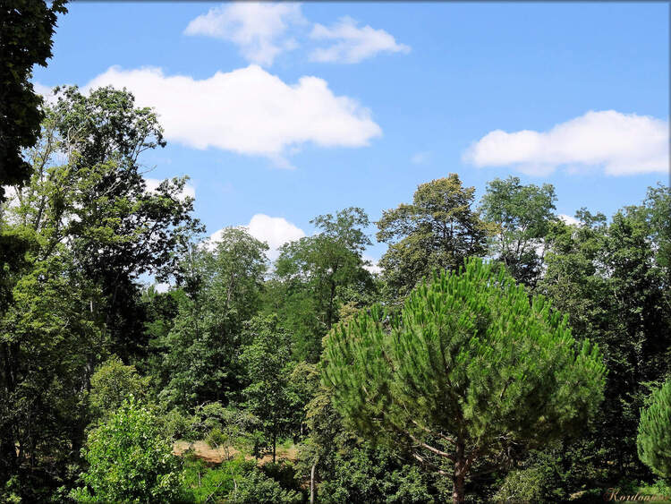 Photo du parc du Château de Cazeneuve (Préchac)