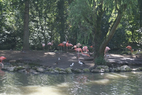 Zoopark de Beauval