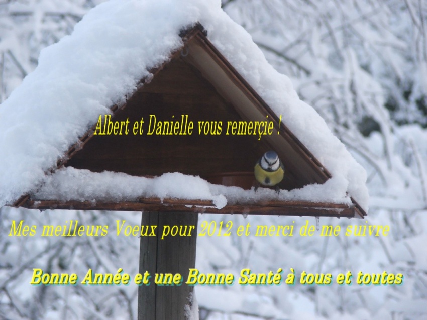 Bonne Année à tous