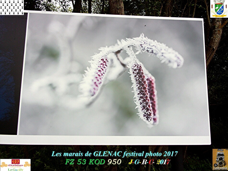 FESTIVAL PHOTO LA GACILLY # GLENAC # LA CHAPELLE GACELINE  1/5     D    01/07/2017