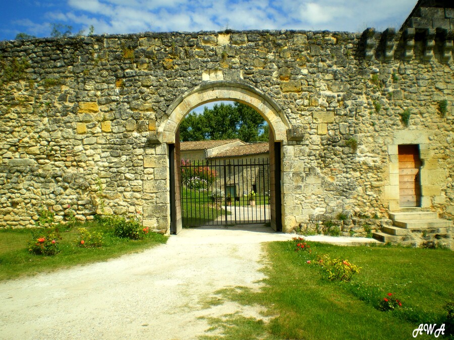 BALADE EN GIRONDE...