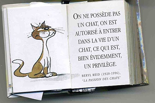 chat 1