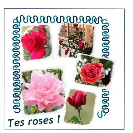 Tes_roses