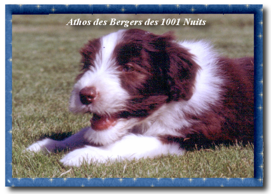 Athos Athos