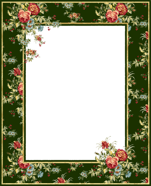 Frames flowers PNG