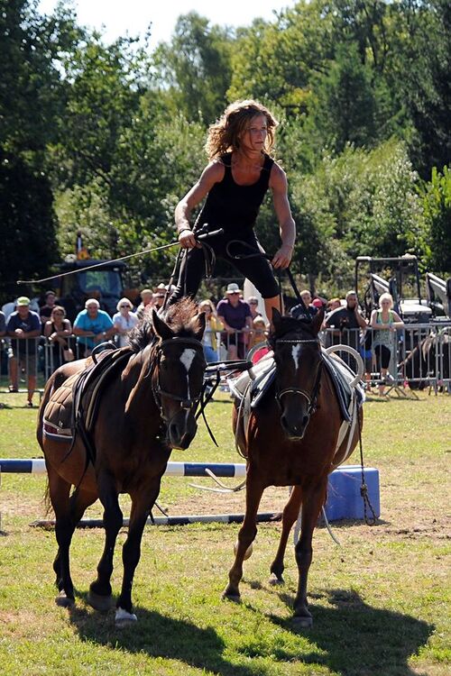 5ème journée de la fête du cheval: 30 août 2015