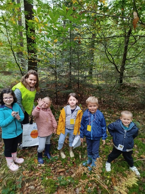 Sortie en forêt de Camors