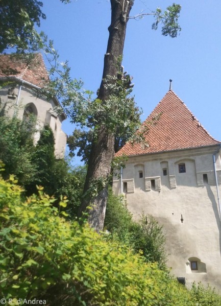 Sighisoara, Transylvanie.4