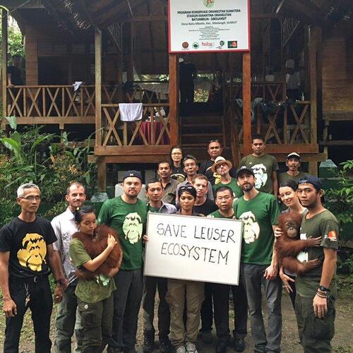 Leonardo DiCaprio en Indonésie pour sauver les éléphants et les orangs-outans