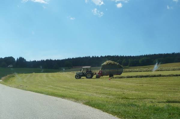 Les-foins-en-Suisse.JPG