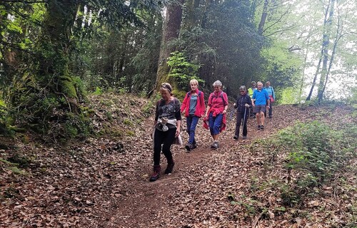 Ce jeudi 4 mai , rando de 10km à Camors .Nous étions 14 randonneurs a marcher dans cette sublime forêt .