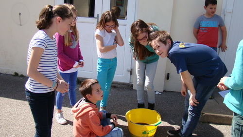 "Les jeunes chercheurs"