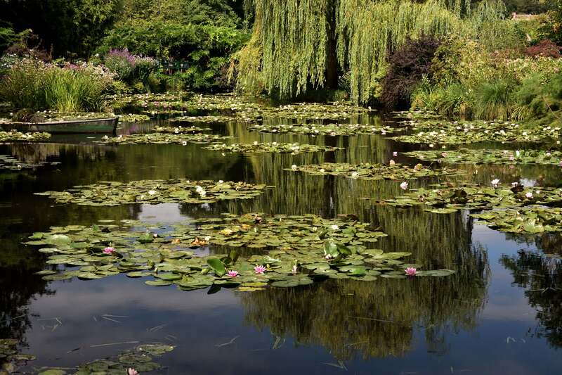 2018.08.08 Giverny (département de l'Eure) 2