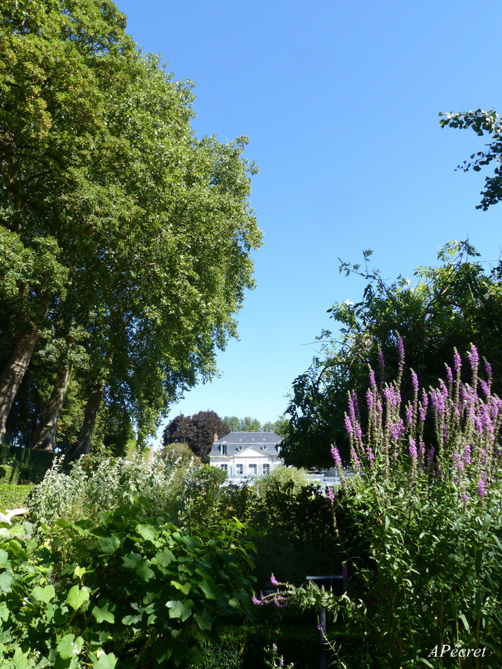 Le Jardin des Plantes au mois d'août 2020