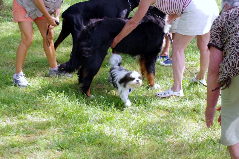 Entraînement du samedi 02 juin 2012