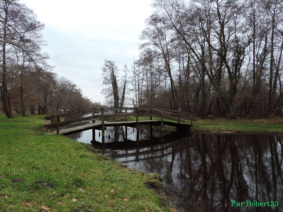 le lac Léon dans les Landes (40)