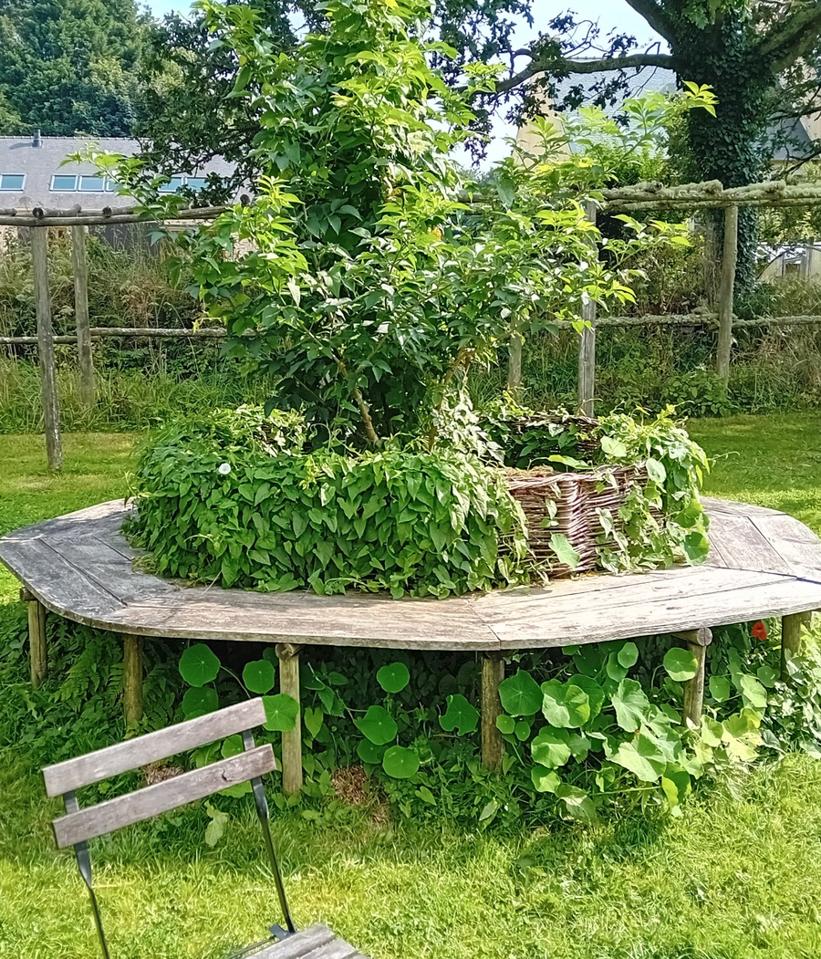  le relec et son potager 