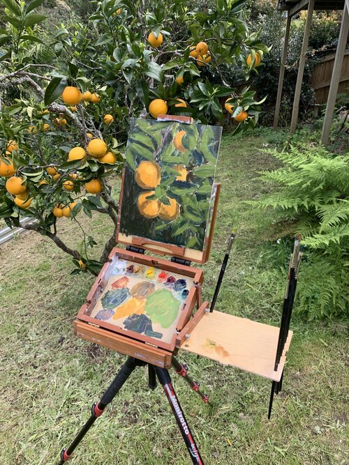 Dessin et peinture - vidéo 3946 : Comment peindre des agrumes (oranges) ? - huile ou acrylique.