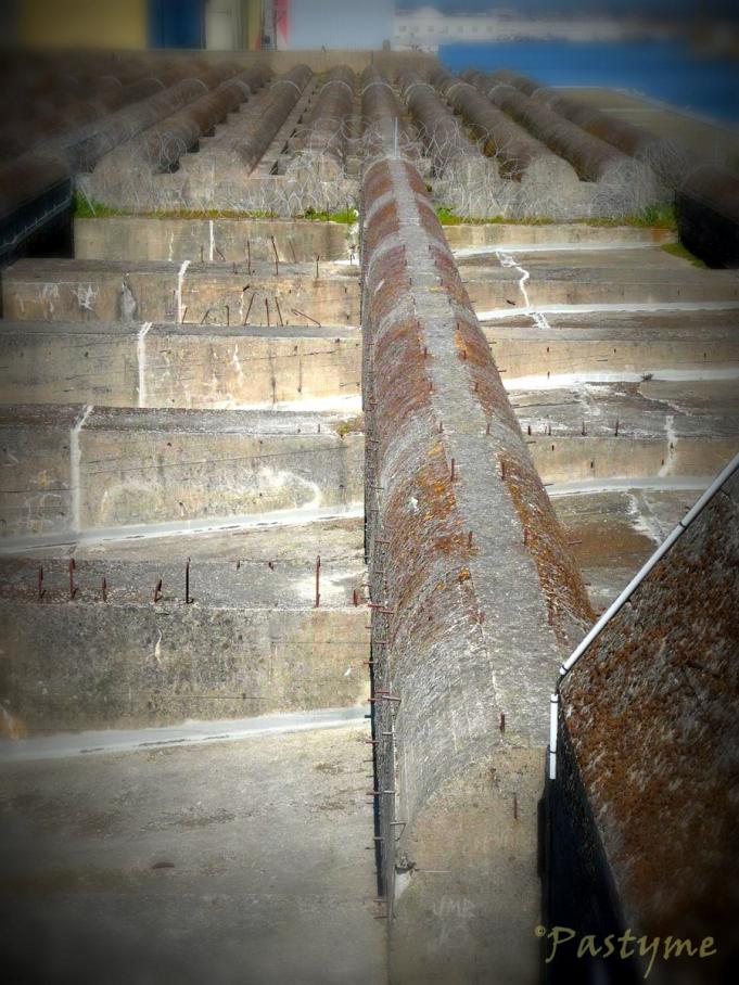 Lignes et courbes.....