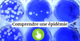 Comprendre une épidémie : cliquez pour en savoir plus