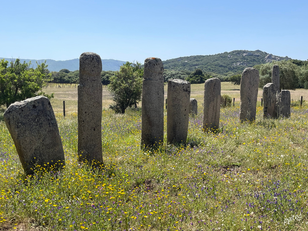 Site mégalithique de Cauria - Alignement de Stantari - Sartene (1)