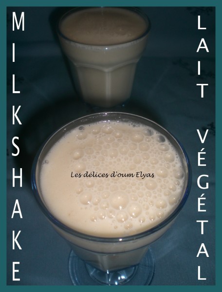 Milkshake au lait végétal (4)