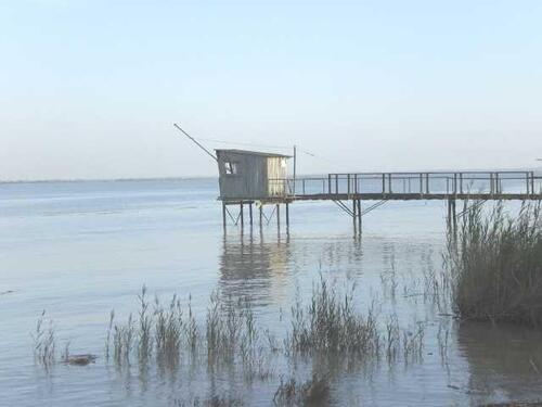 Disparirion des Carrelets ?