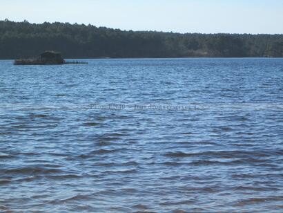 Lac et Campagne landaise