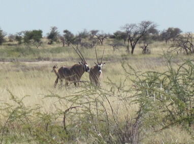Namibie mai 2017