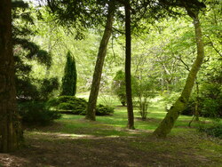 L' Arboretum de Balaine
