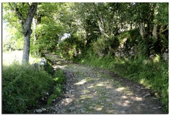 Le début du chemin vers St Jacques de Compostelle...