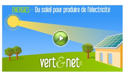 Animations Vert et Net