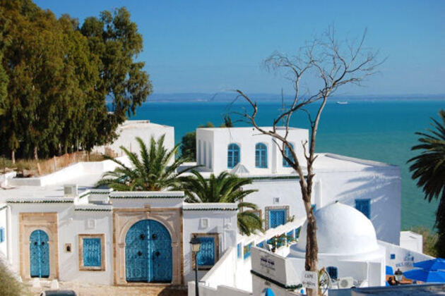 Sidi Bou Saïd en blanc et bleu