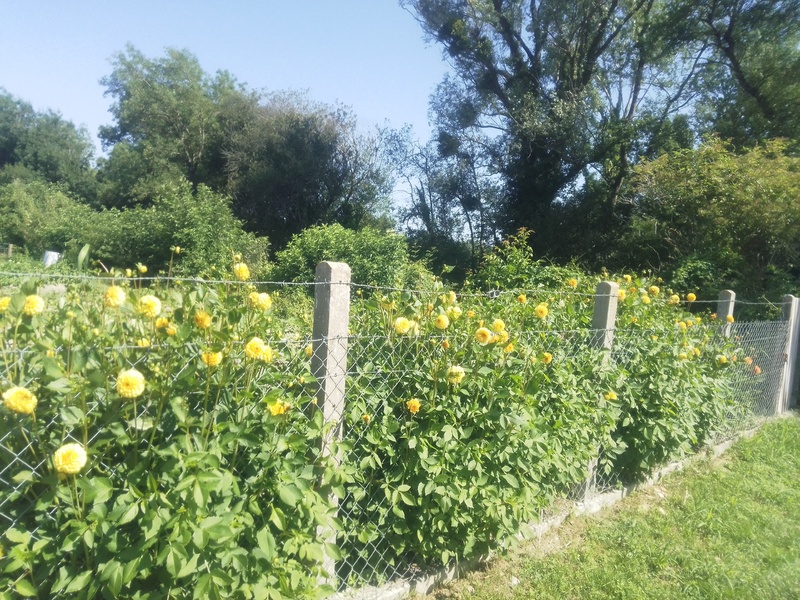 Bonne semaine à tous.