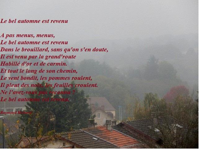 Le voile d'Automne est arrivé ........le brouillard 